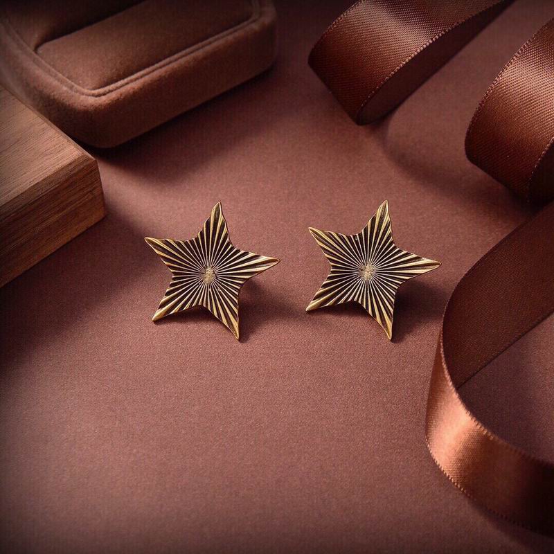 YSL Earrings 12lyr154